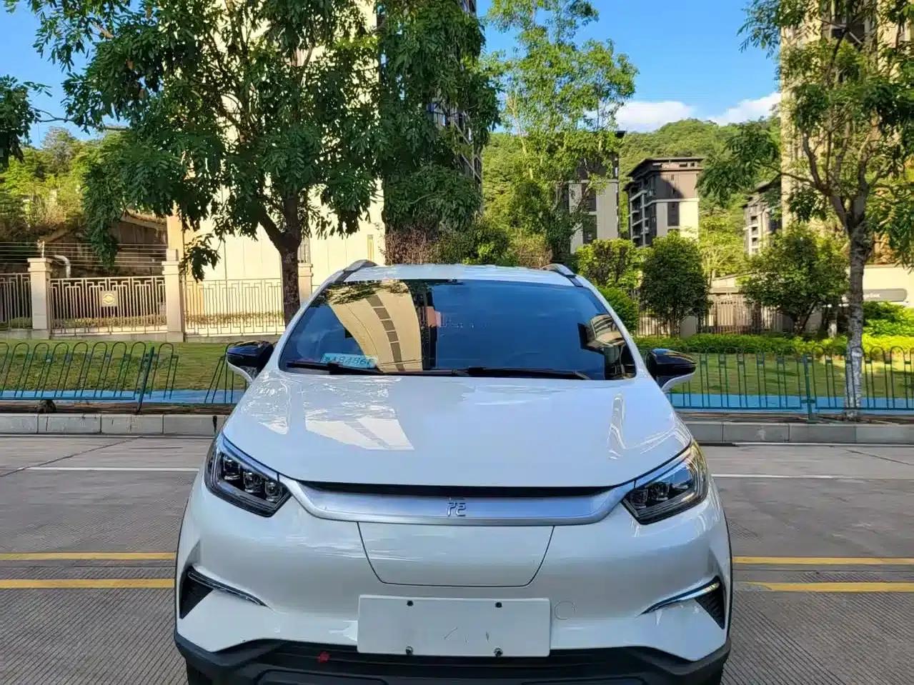 Yuan Pro 2021 Lifetime Edition — миниатюра 2