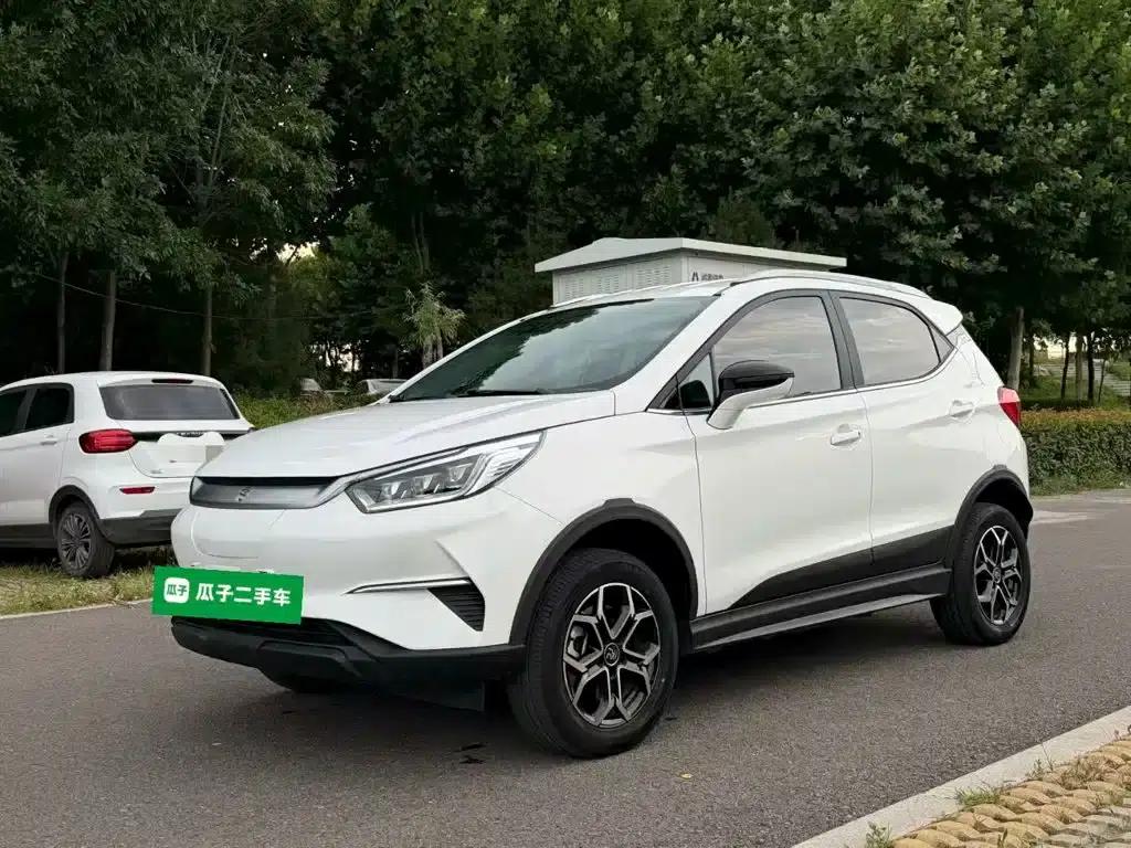 Yuan Pro 2021 401KM Luxury Edition — миниатюра 2