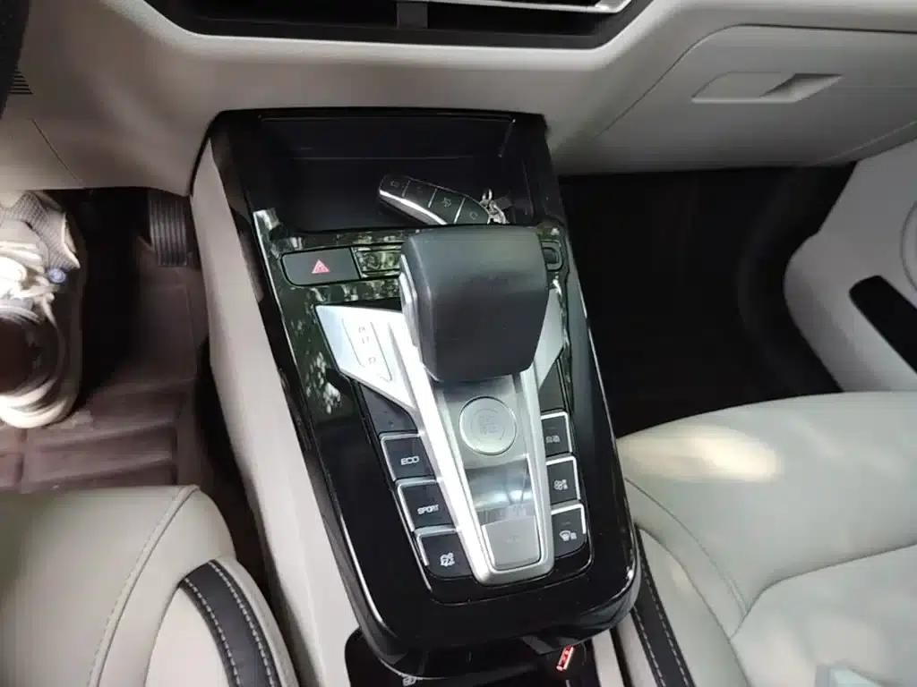 Yuan Pro 2021 401KM Luxury Edition — миниатюра 14