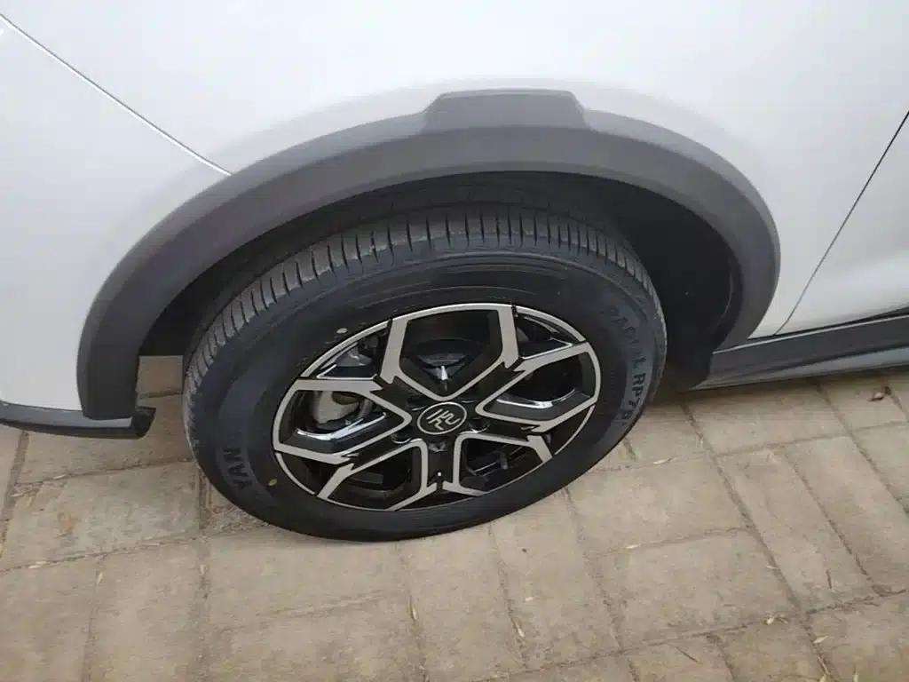 Yuan Pro 2021 401KM Luxury Edition — миниатюра 23