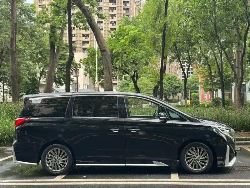 Trumpchi M8 2021 Master Series 390T Supreme Edition — миниатюра 5