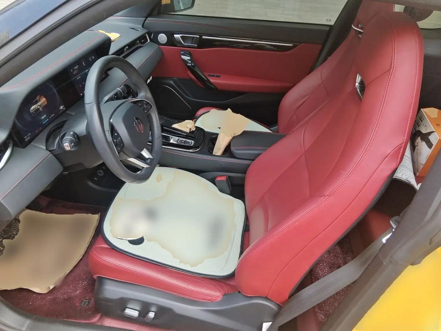 Leapmotor S01 2020 460 Pro — миниатюра 15