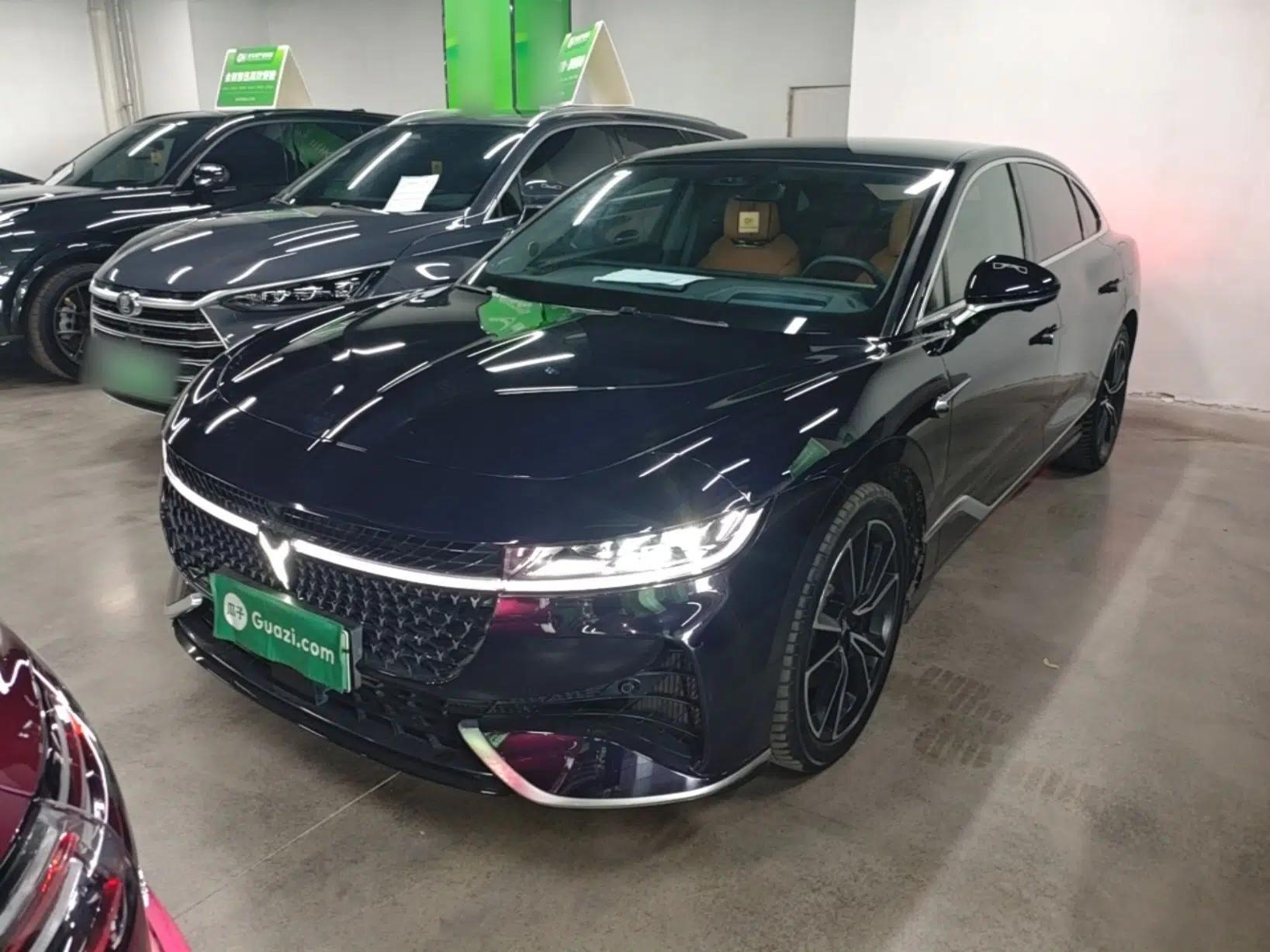 VOYAH PASSION 2024 PHEV Four-Wheel Drive Ultra-Long Range Flagship Model — миниатюра 1
