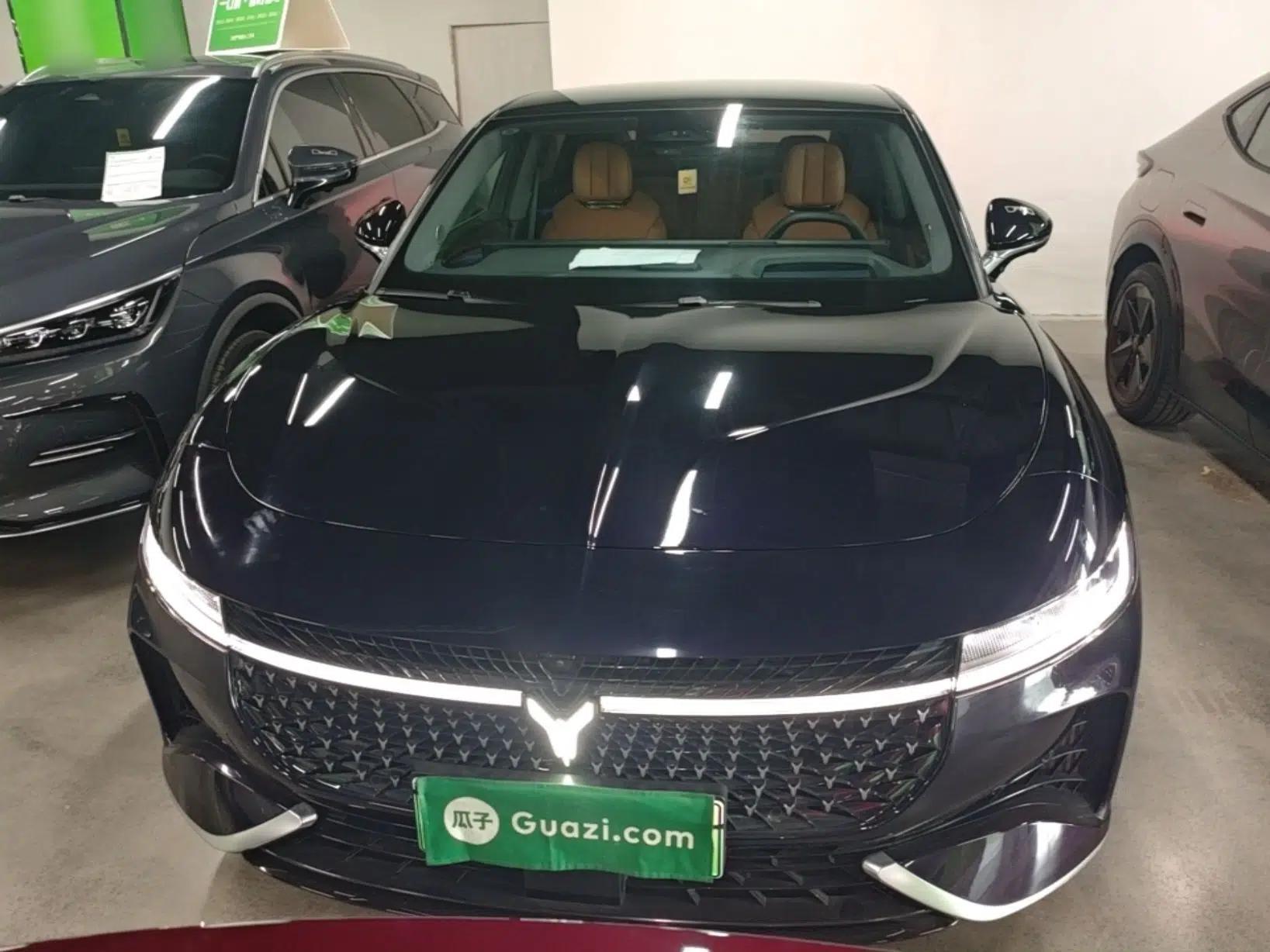 VOYAH PASSION 2024 PHEV Four-Wheel Drive Ultra-Long Range Flagship Model — миниатюра 2