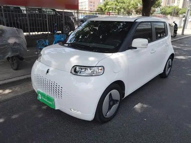 ORA White Cat 2020 360km Standard Version
