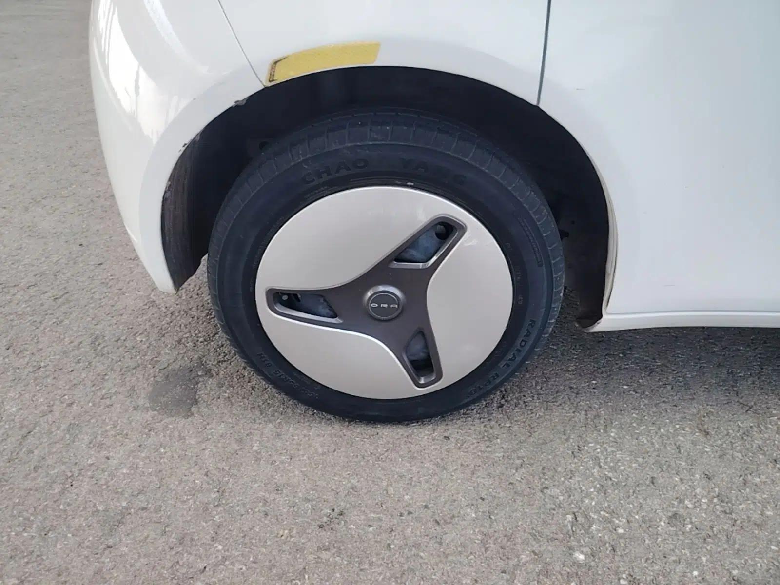 ORA White Cat 2020 360 km Luxury Version — миниатюра 11