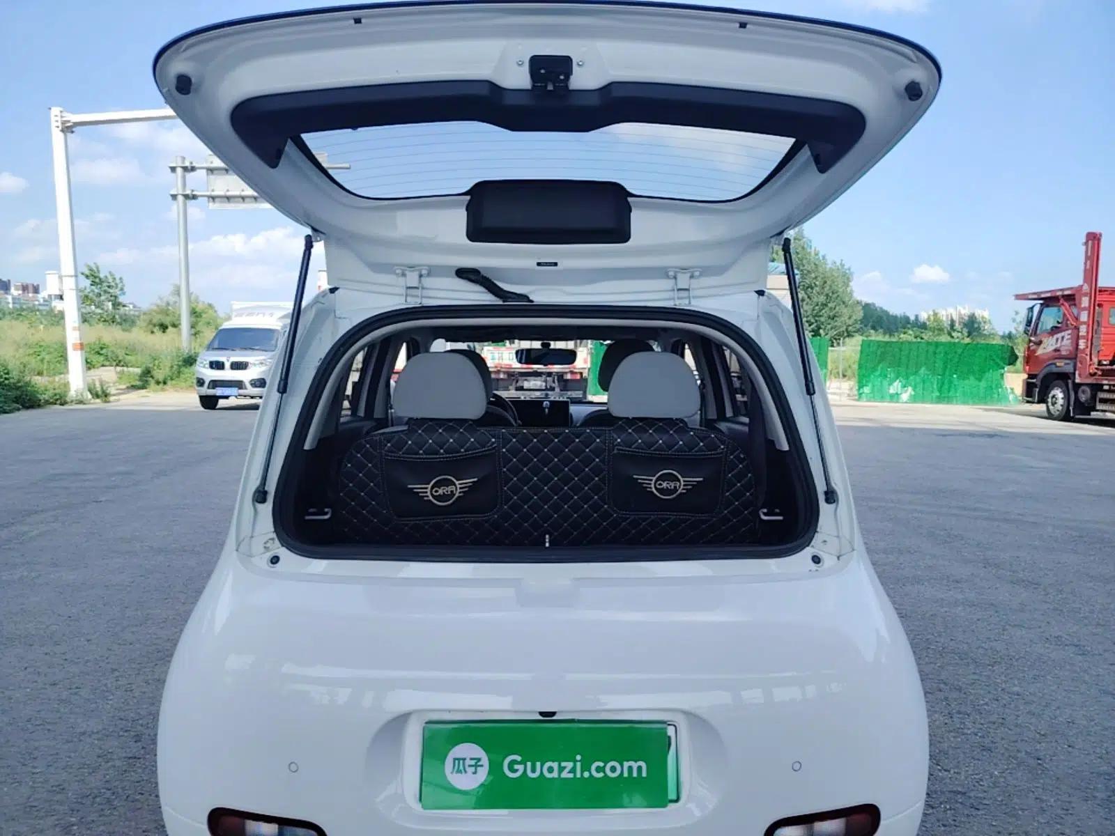ORA White Cat 2020 360 km Luxury Version — миниатюра 22