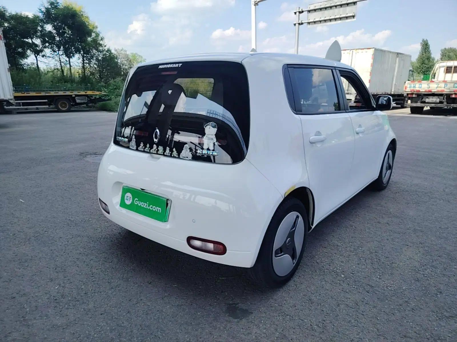 ORA White Cat 2020 360 km Luxury Version — миниатюра 6