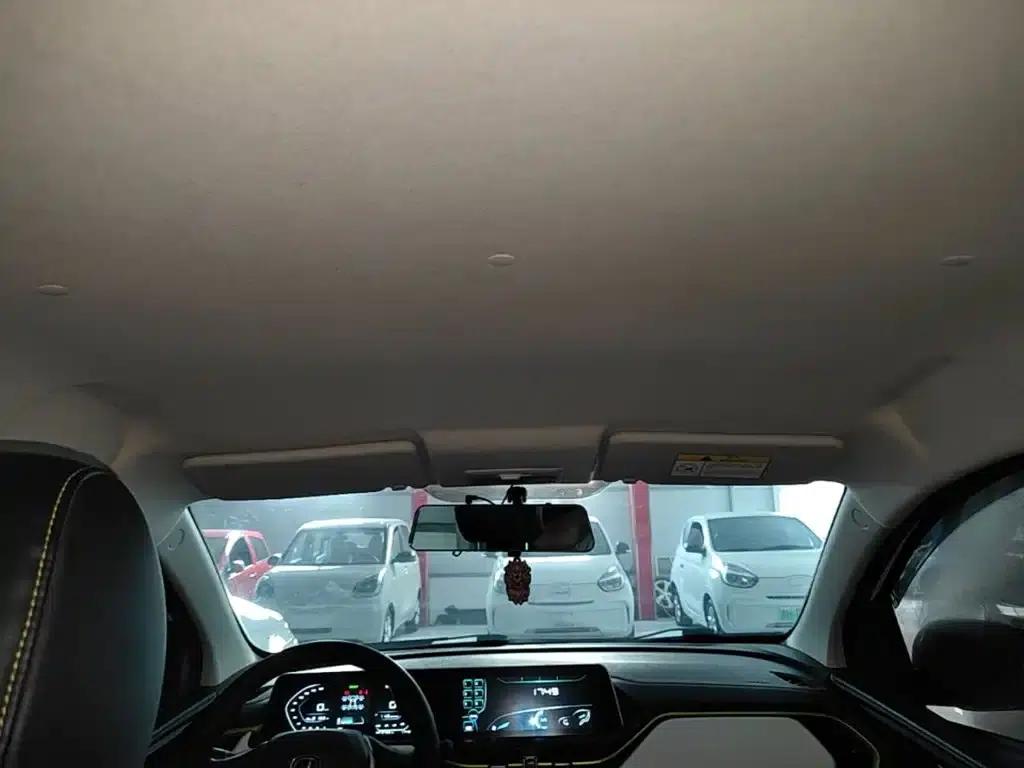 Changan Benben E-Star 2020 Heartbeat Edition Ternary Lithium Lithium — миниатюра 18