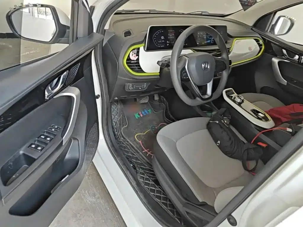 Changan Benben E-Star 2020 Heartbeat Edition Ternary Lithium Lithium — миниатюра 16