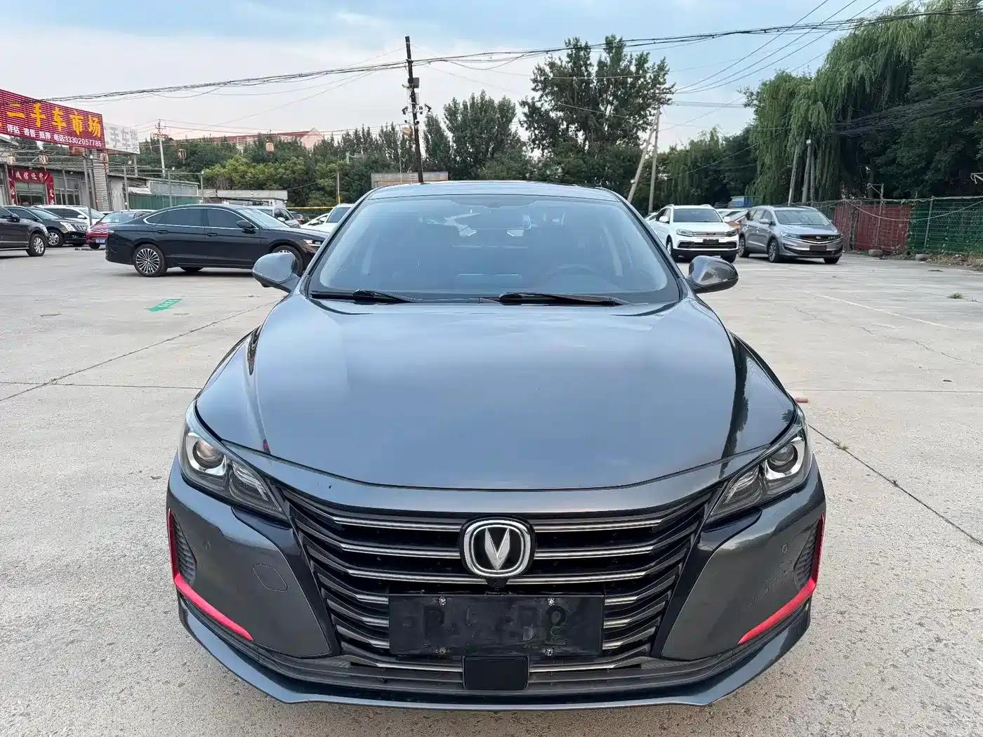 Ruicheng CC 2021 Blue Whale Edition 1.5T DCT Flagship Model — миниатюра 2