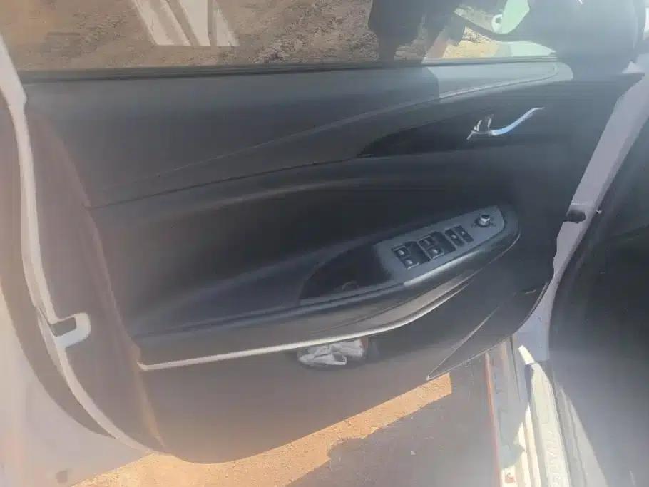 Ruicheng CC 2021 Blue Whale Edition 1.5T DCT Luxury — миниатюра 7