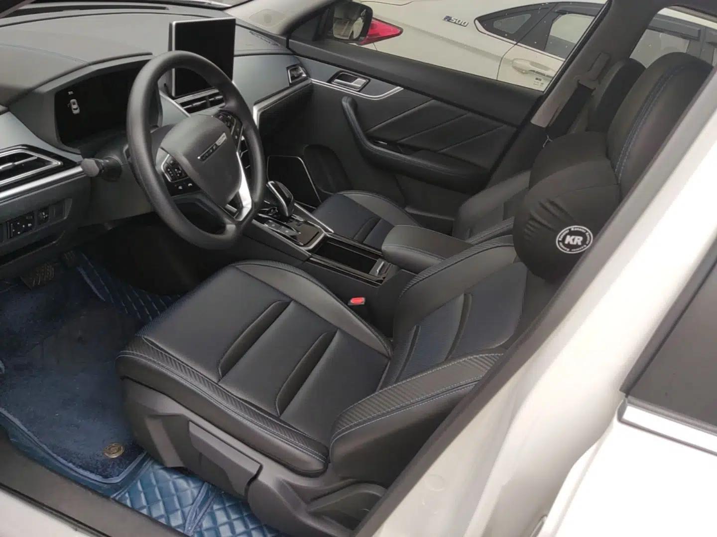 Venucia T60EV 2023 Comfort Edition — миниатюра 17