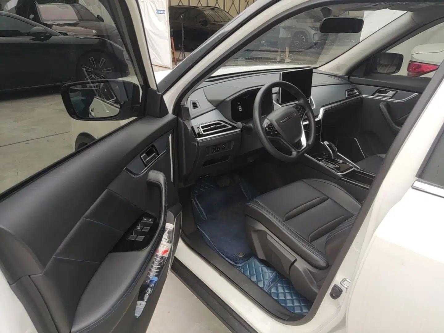 Venucia T60EV 2023 Comfort Edition — миниатюра 18