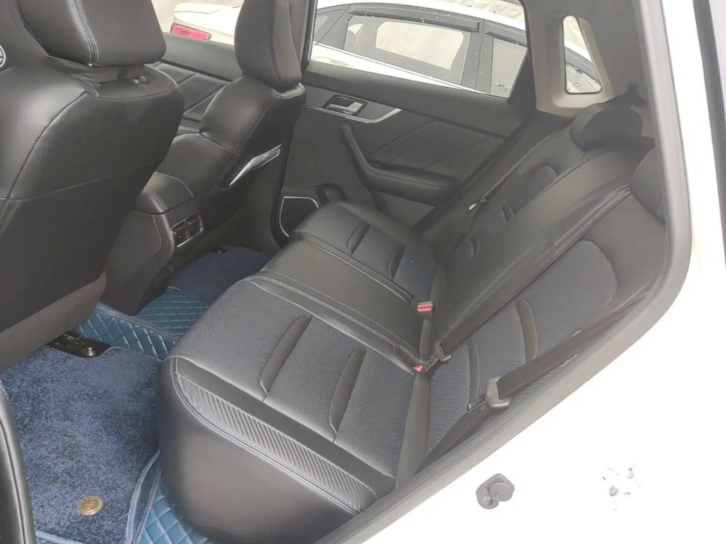 Venucia T60EV 2023 Comfort Edition — миниатюра 20
