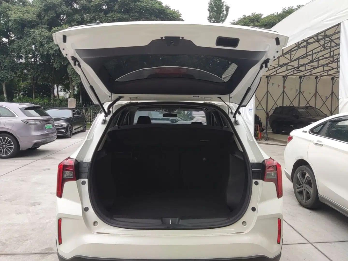 Venucia T60EV 2023 Comfort Edition — миниатюра 22