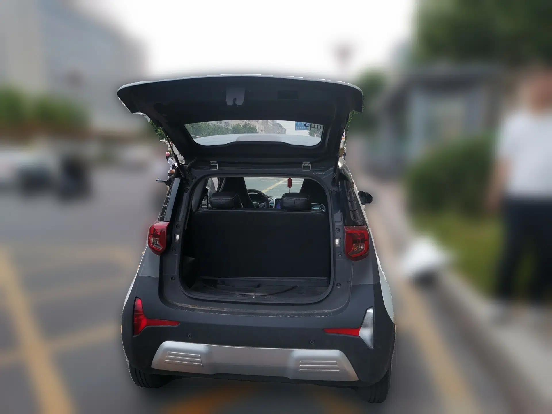Chery QQ Little Ant 2021 150 000 Yuan "Ant Fan" Edition New Ant Cool Version Lithium-Ion Battery — миниатюра 19
