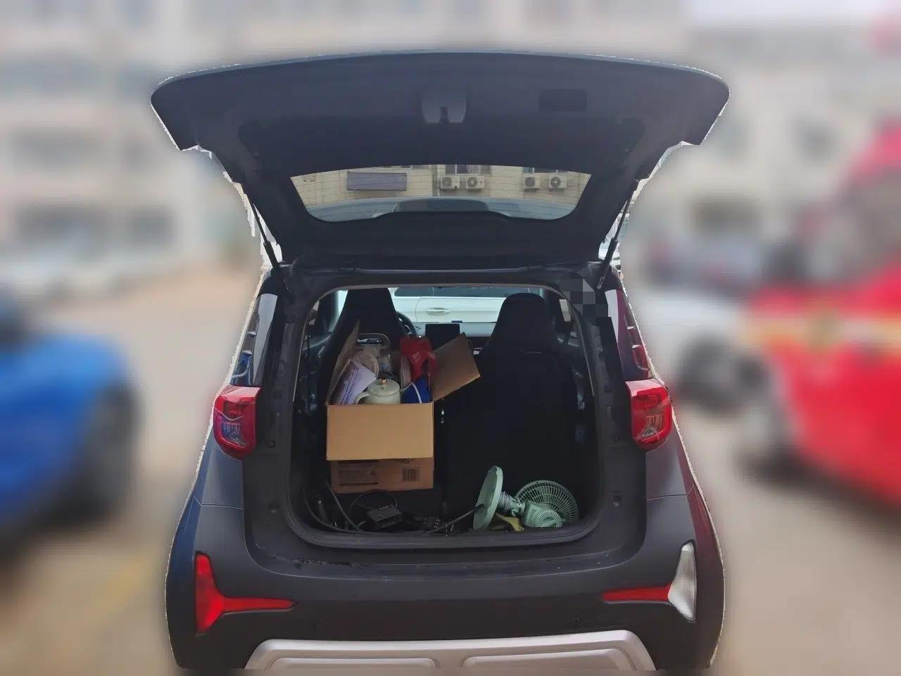 Chery QQ Little Ant 2024 251km True Love Edition — миниатюра 16