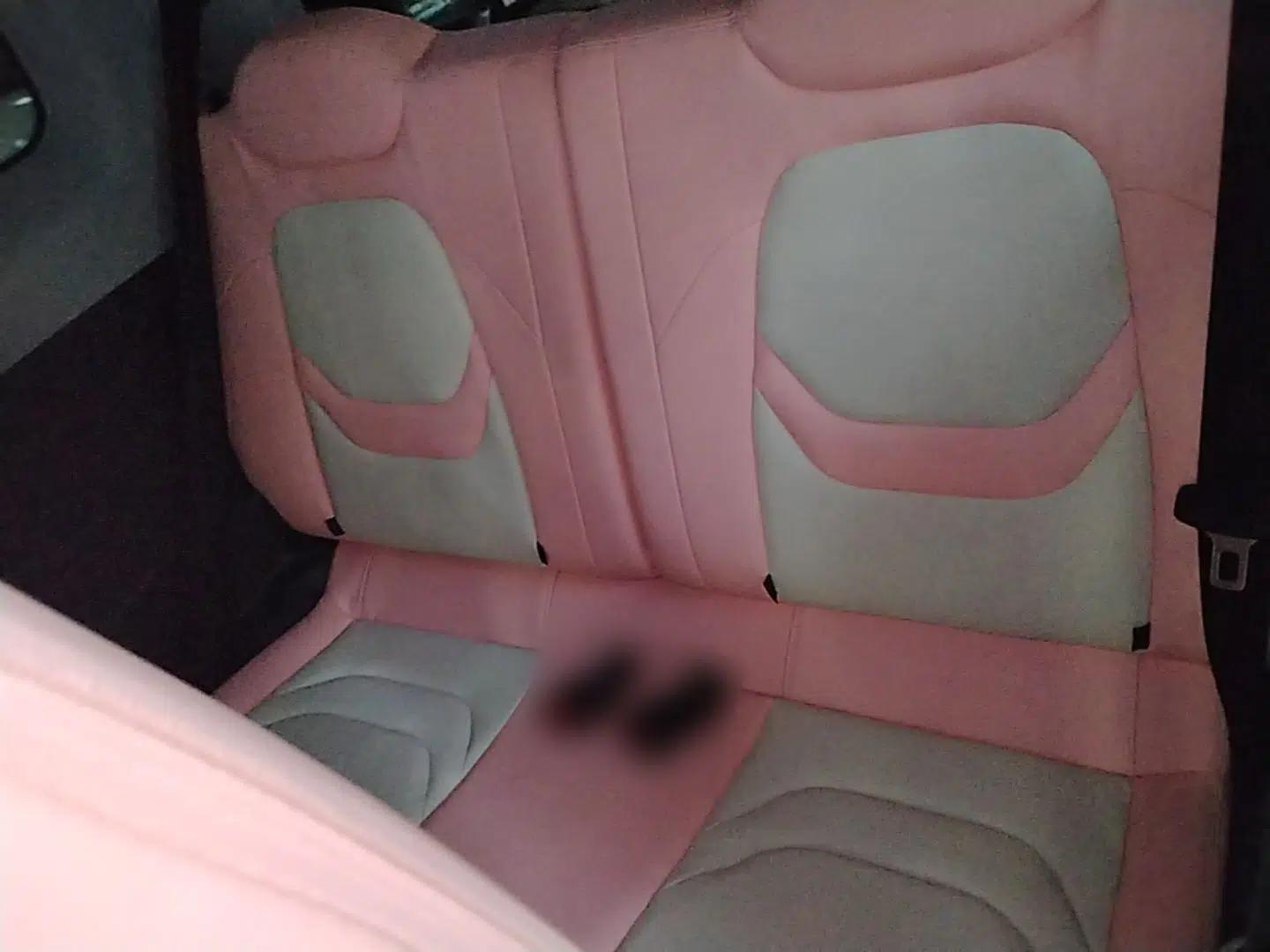 Chery QQ Ice Cream 2022 Taohuanxi Sweet Peach Edition — миниатюра 20