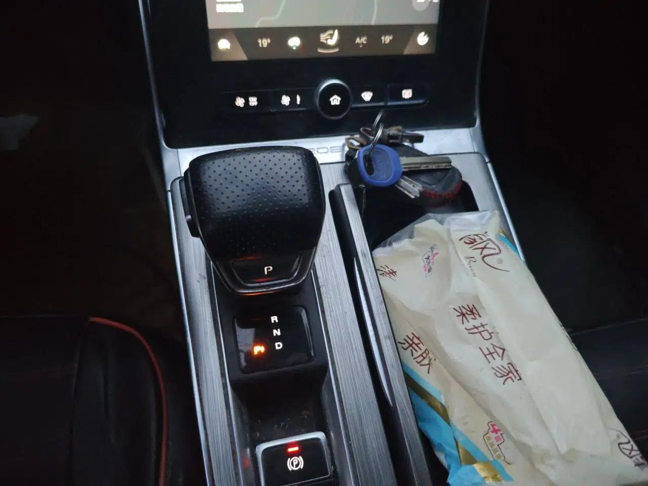 Roewe RX5 New Energy 2020 ePLUS National Trend Ronglin Luxury Edition — миниатюра 14