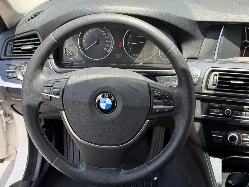 2014 BMW 5 Series 520Li Elegant Edition — миниатюра 12