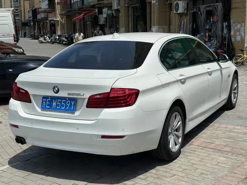2014 BMW 5 Series 520Li Elegant Edition — миниатюра 6