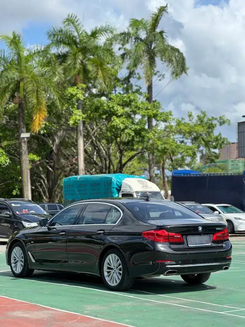 2018 BMW 5 Series Facelift 530Li Leading Luxury Package — миниатюра 4
