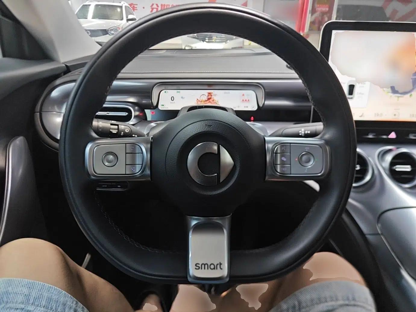 smart #3 2023 Pro+ Edition — миниатюра 13