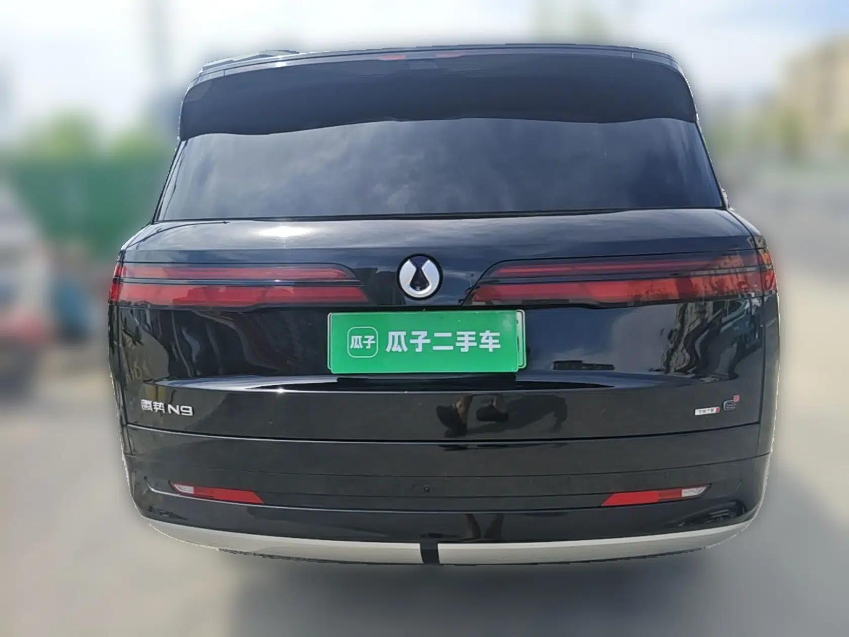 Denza N9 2025 Prestige Version — миниатюра 5