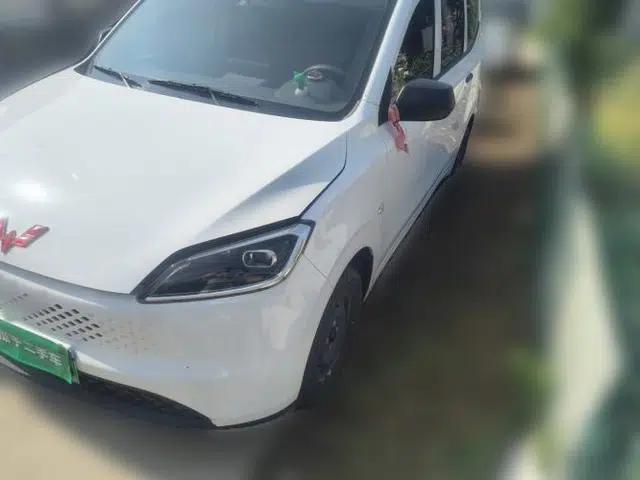 Wuling Hongguang New Energy 2025 Extended-Range Hybrid 50 km Standard Version