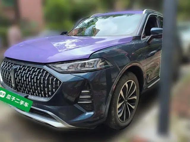 Wey Mocha 2021 2.0T Four-Wheel Drive Premium Edition