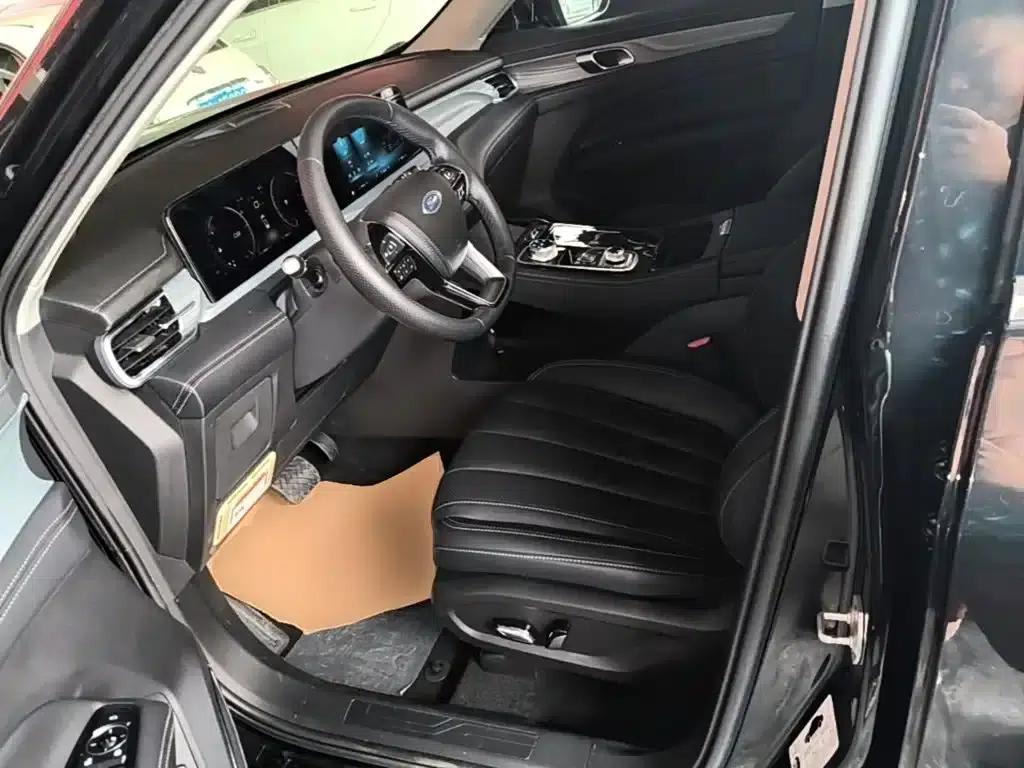Lingyu 2021 EcoBoost 225 Platinum Edition 6-seater — миниатюра 11