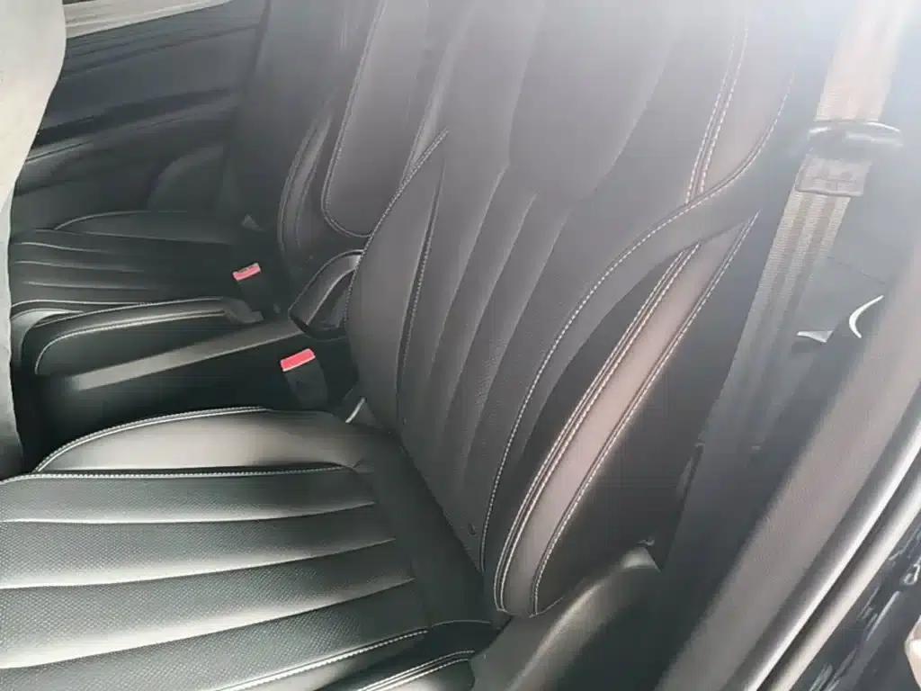 Lingyu 2021 EcoBoost 225 Platinum Edition 6-seater — миниатюра 13