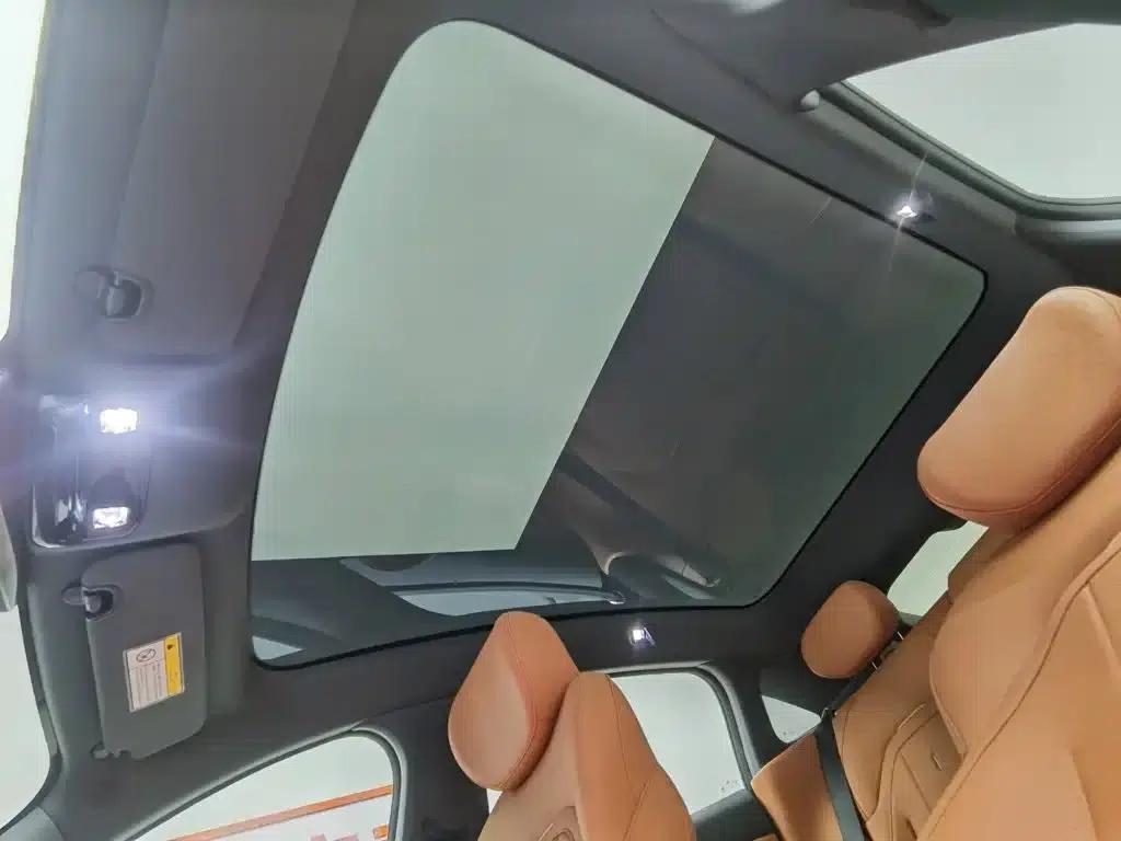 eπ007 2025 Pure Electric 650Pro Navigator Edition — миниатюра 14