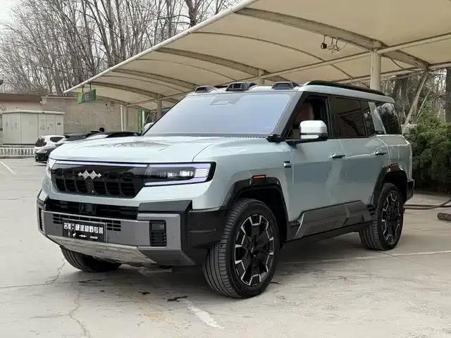 Leopard 8 2025 Smart & Brave Flagship Edition 6-seater