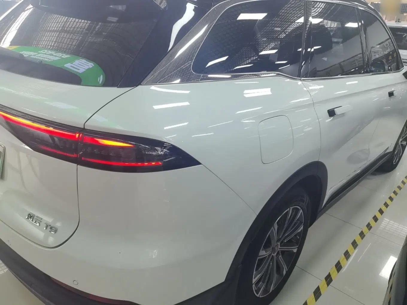 Chery Fengyun T9 2024 120 Long-Range Standard Version 5 Seats Lithium-NMC Battery — миниатюра 6