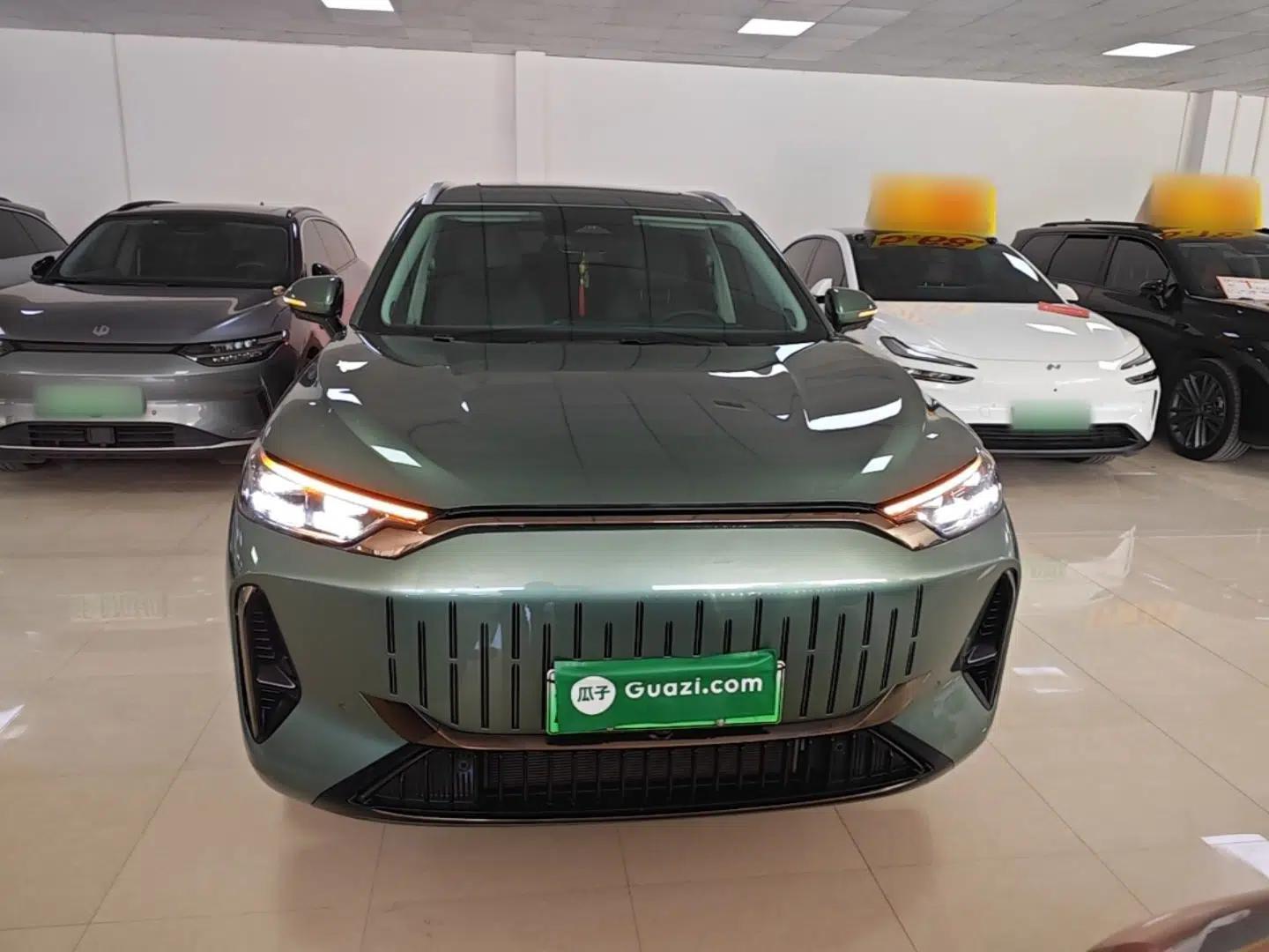 Chery Fengyun T10 2024 210 Luxury Edition — миниатюра 2