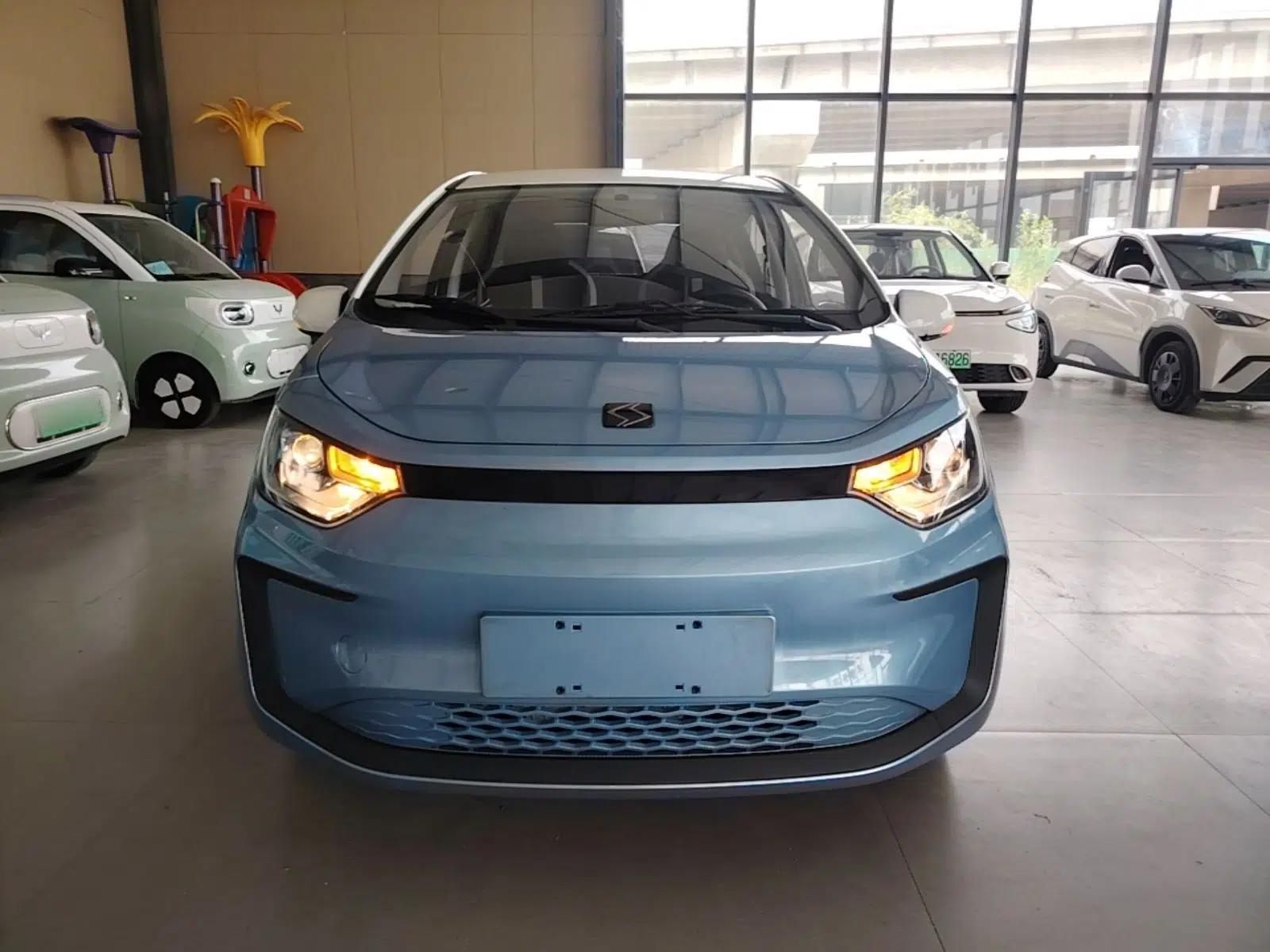 SOL E10X 2021 302 km Range Luxury Version 30.2 kWh — миниатюра 2
