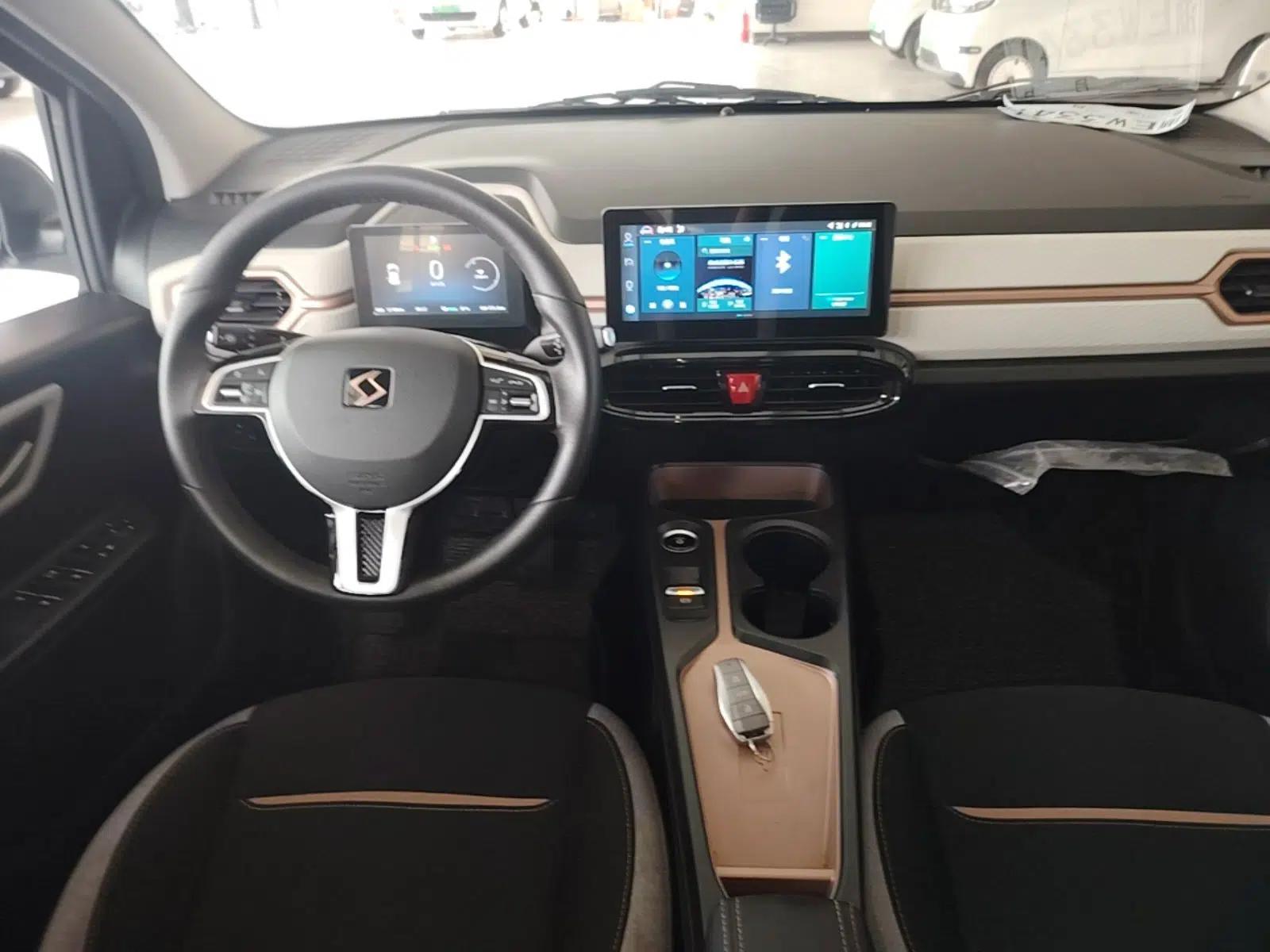 SOL E10X 2021 302 km Range Luxury Version 30.2 kWh — миниатюра 12