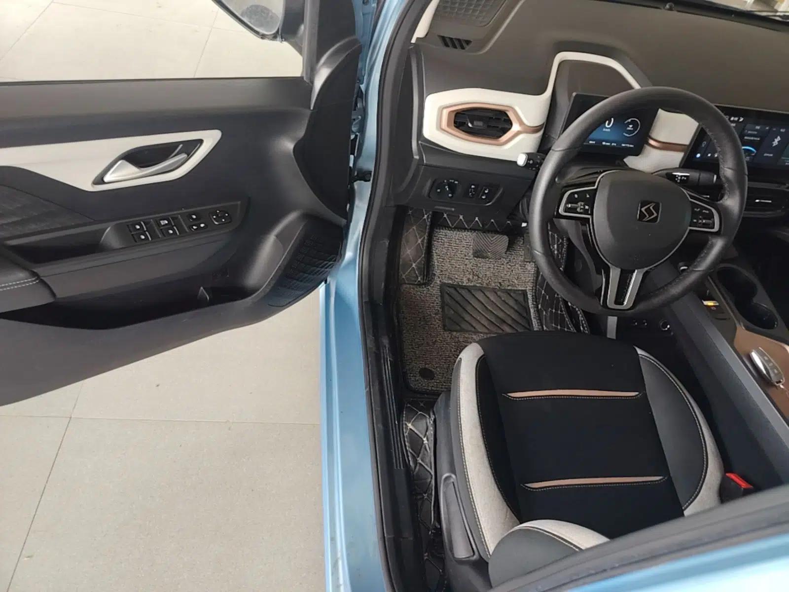 SOL E10X 2021 302 km Range Luxury Version 30.2 kWh — миниатюра 18