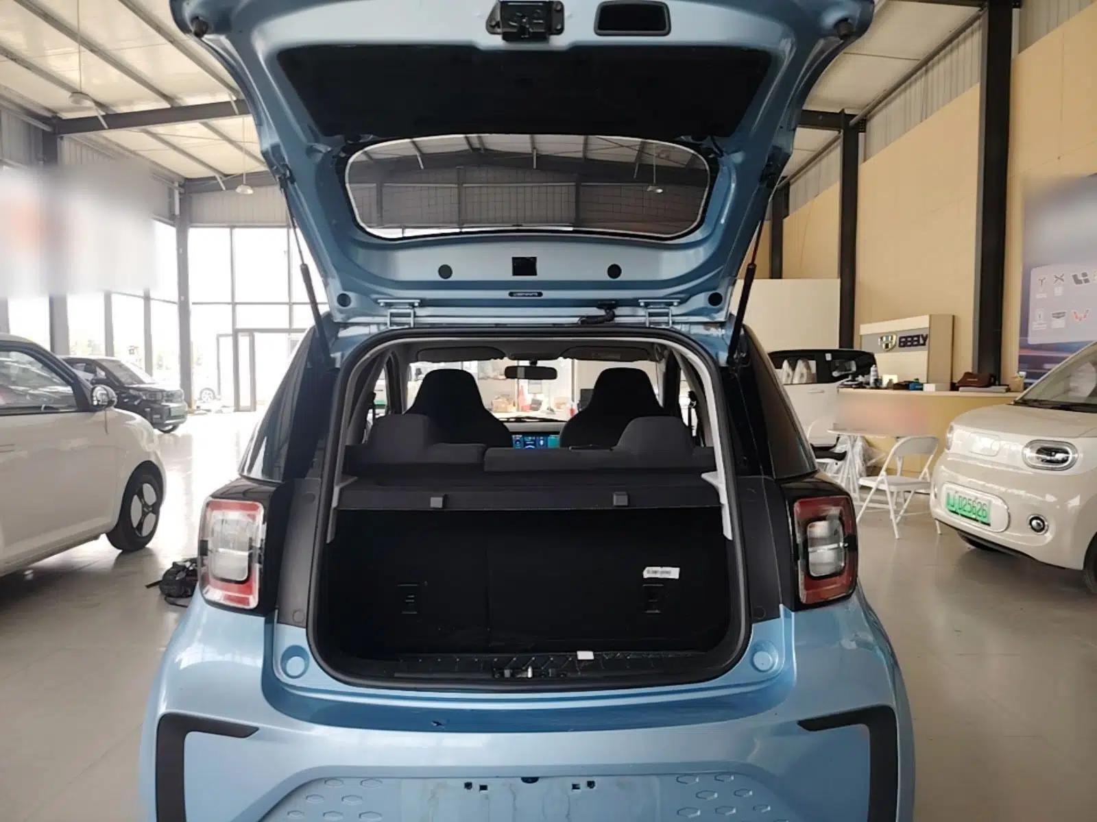 SOL E10X 2021 302 km Range Luxury Version 30.2 kWh — миниатюра 22