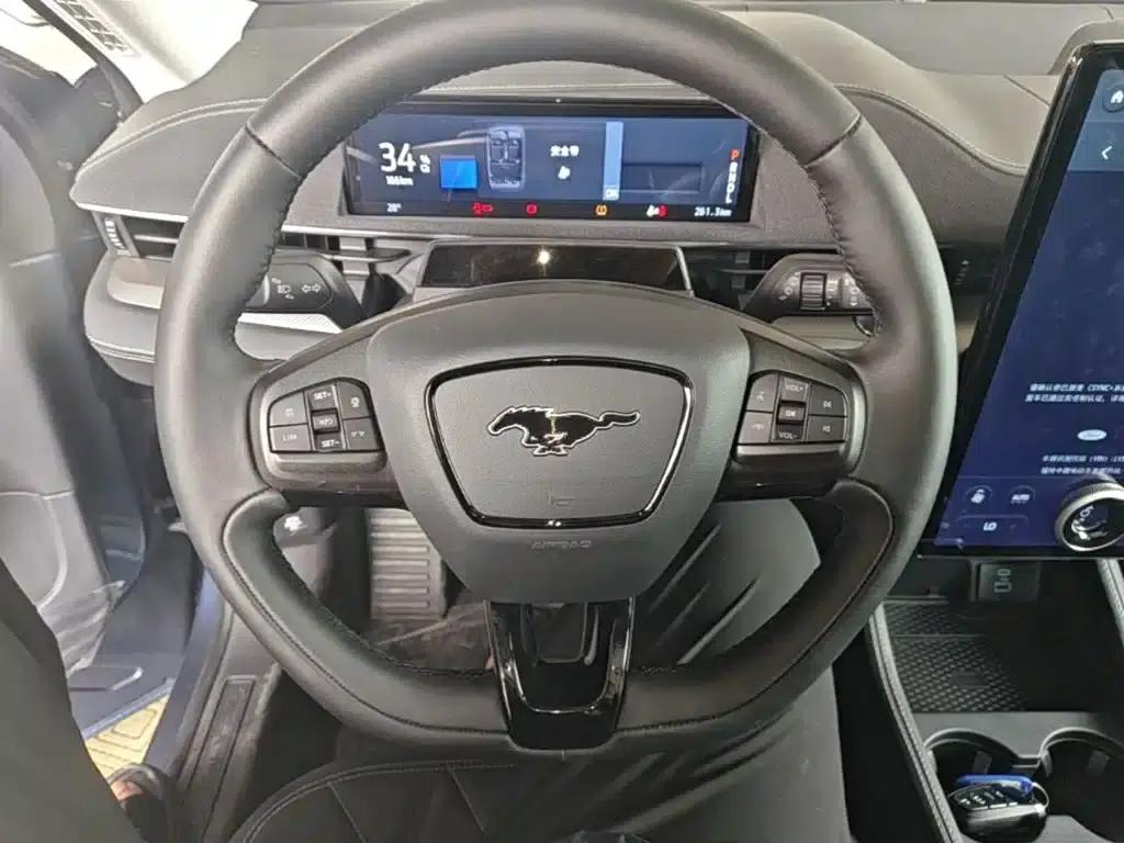 Ford Electric 2021 Model X Rear-Wheel Drive Standard Range — миниатюра 11