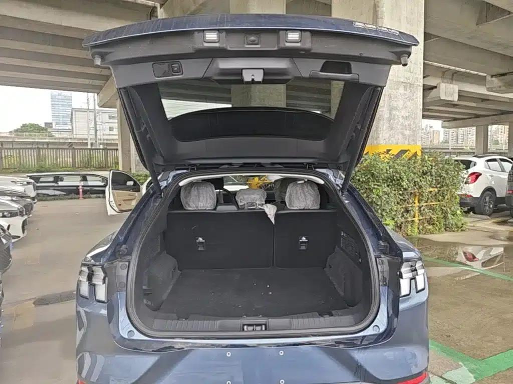 Ford Electric 2021 Model X Rear-Wheel Drive Standard Range — миниатюра 19