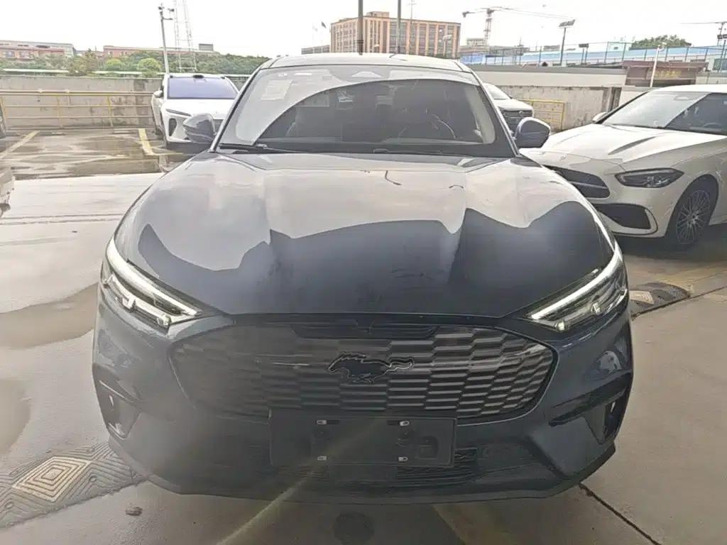 Ford Electric 2021 Model X Rear-Wheel Drive Standard Range — миниатюра 3