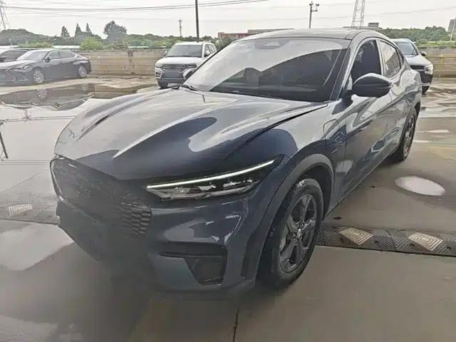Ford Electric 2021 Model X Rear-Wheel Drive Standard Range