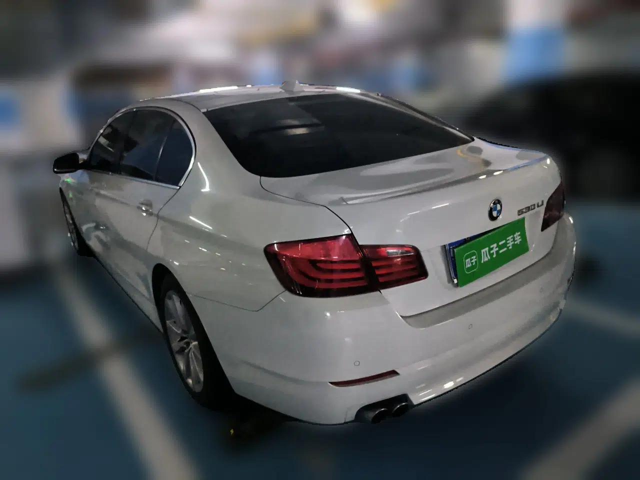 BMW 5 Series 2012 530Li Luxury Model — миниатюра 4