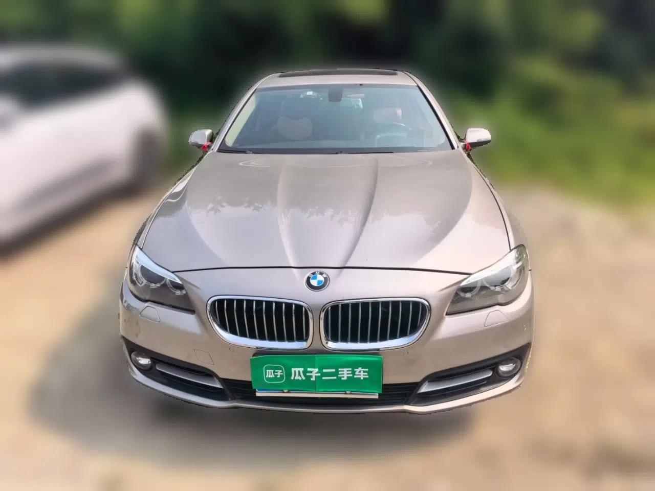 BMW 5 Series 2013 525Li Leading Model — миниатюра 2