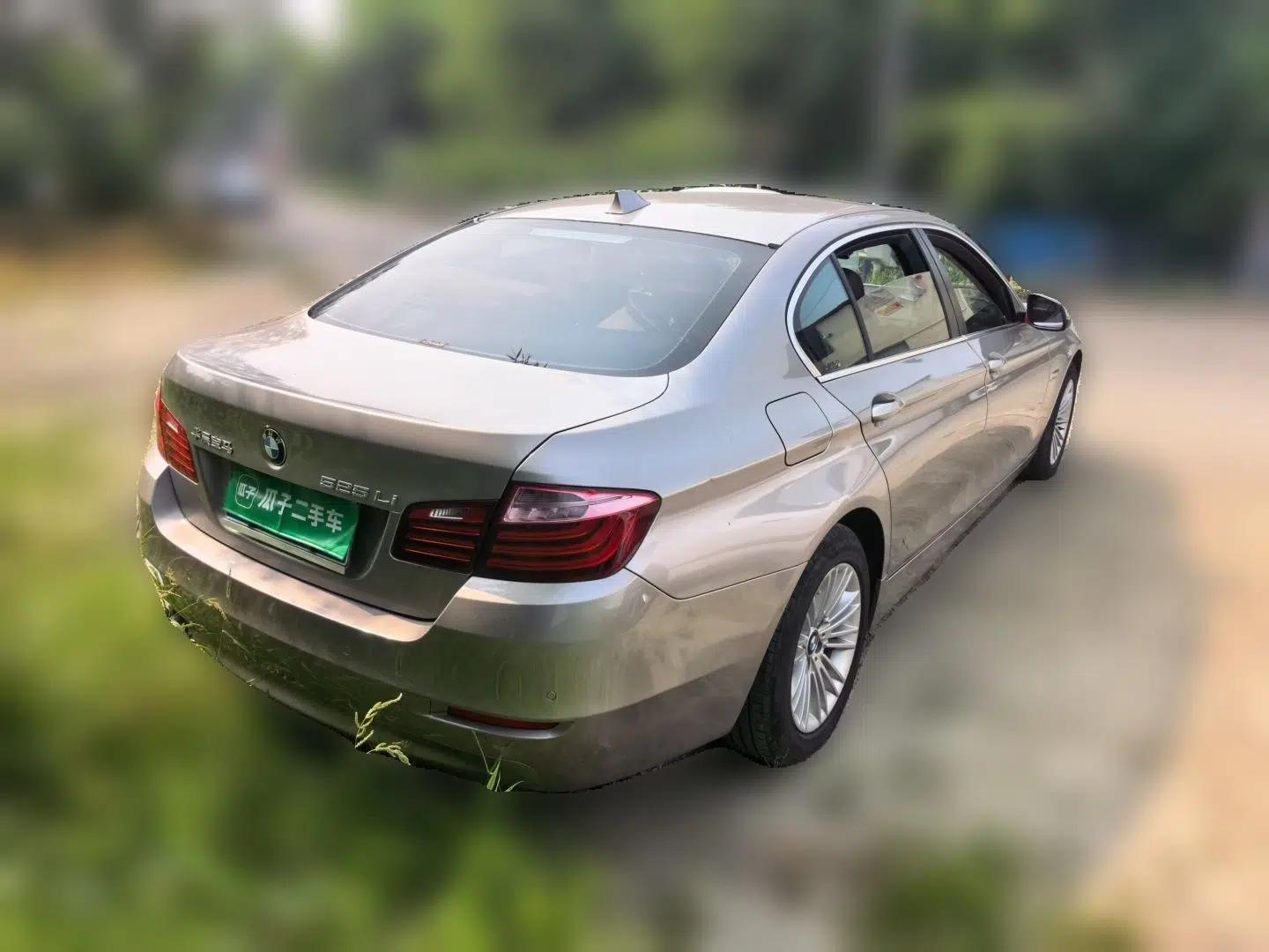 BMW 5 Series 2013 525Li Leading Model — миниатюра 6