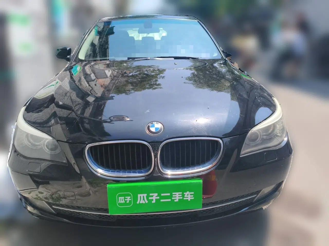 BMW 5 Series 2010 520Li Luxury Model — миниатюра 2