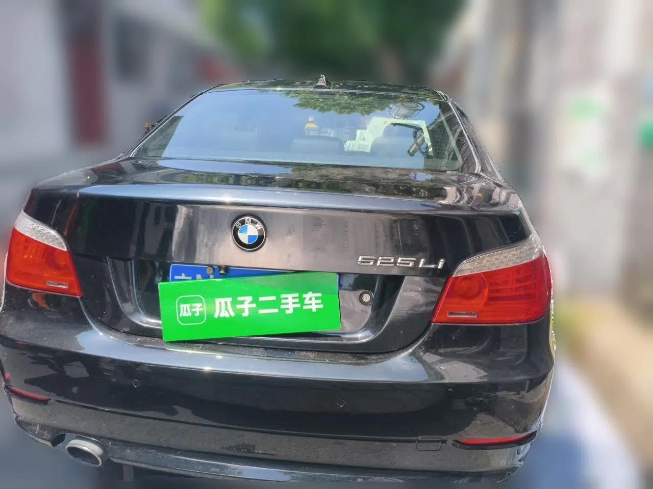 BMW 5 Series 2010 520Li Luxury Model — миниатюра 5
